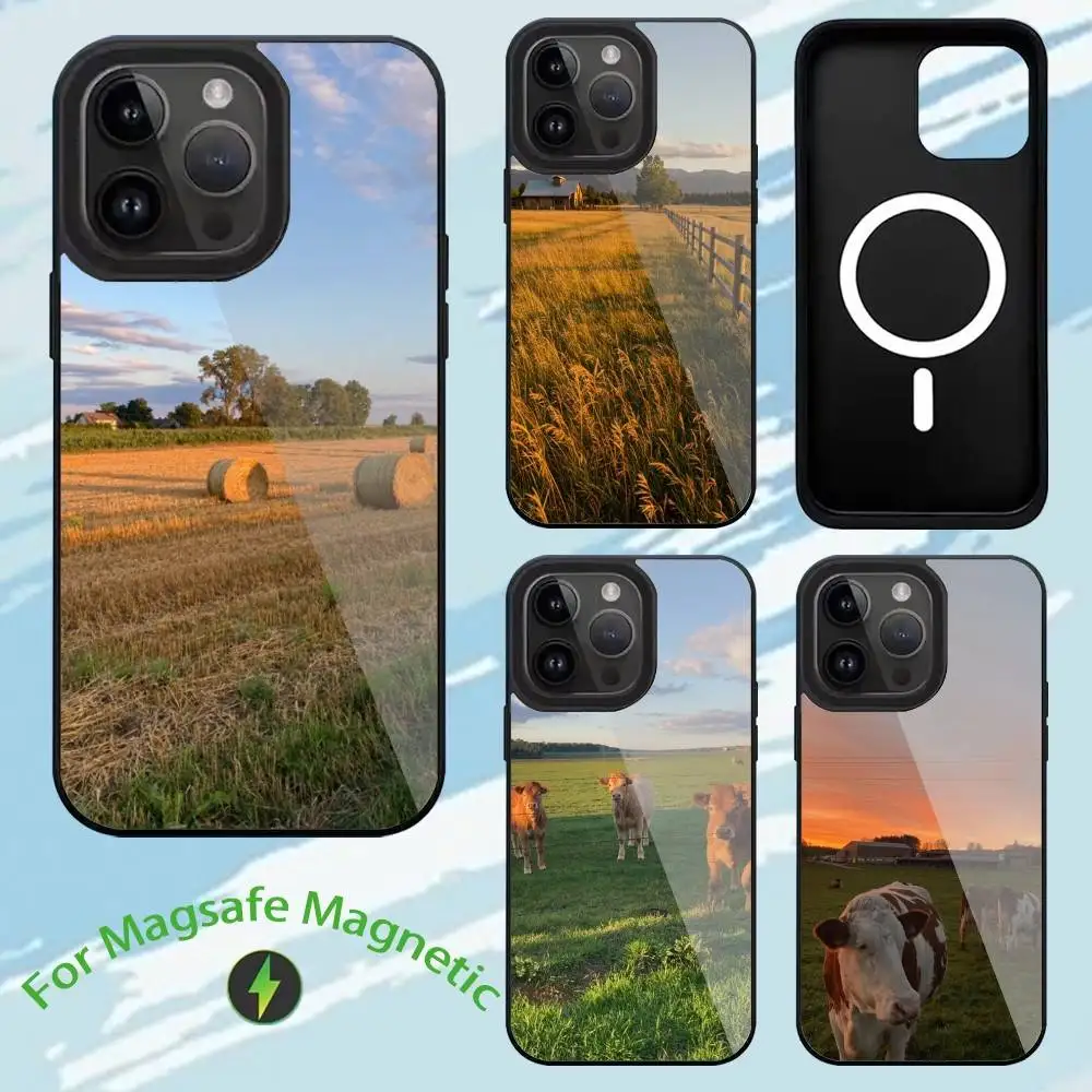 

F-FArm Phone Case For iPhone17,16,15,14,13,12,11,Plus,Pro,Max For Magsafe Wireless Charging case