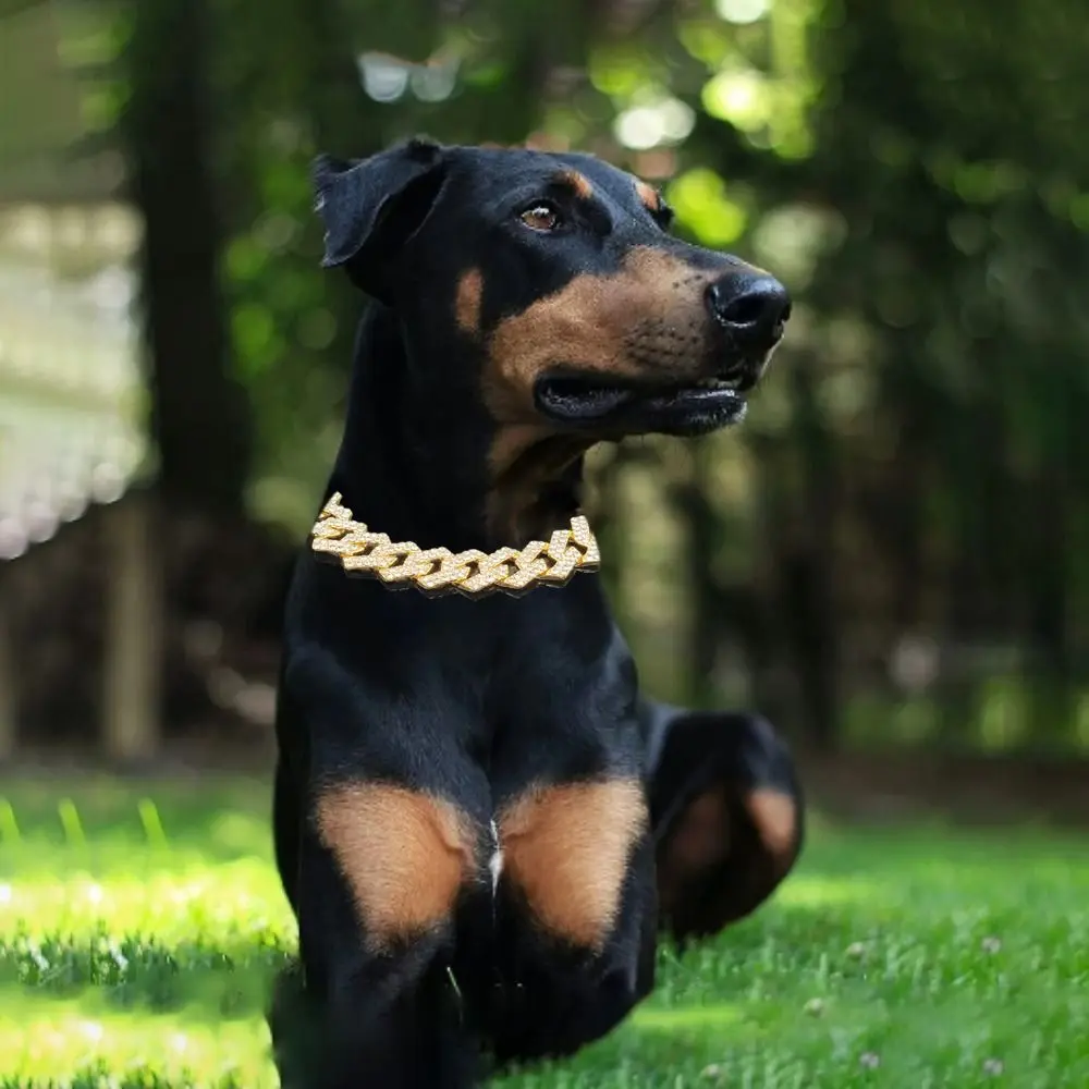 

2MM Individualistic Alloy with Diamond Durable Dogs Necklace Pet Accessories Dogs Chains Cat Collar