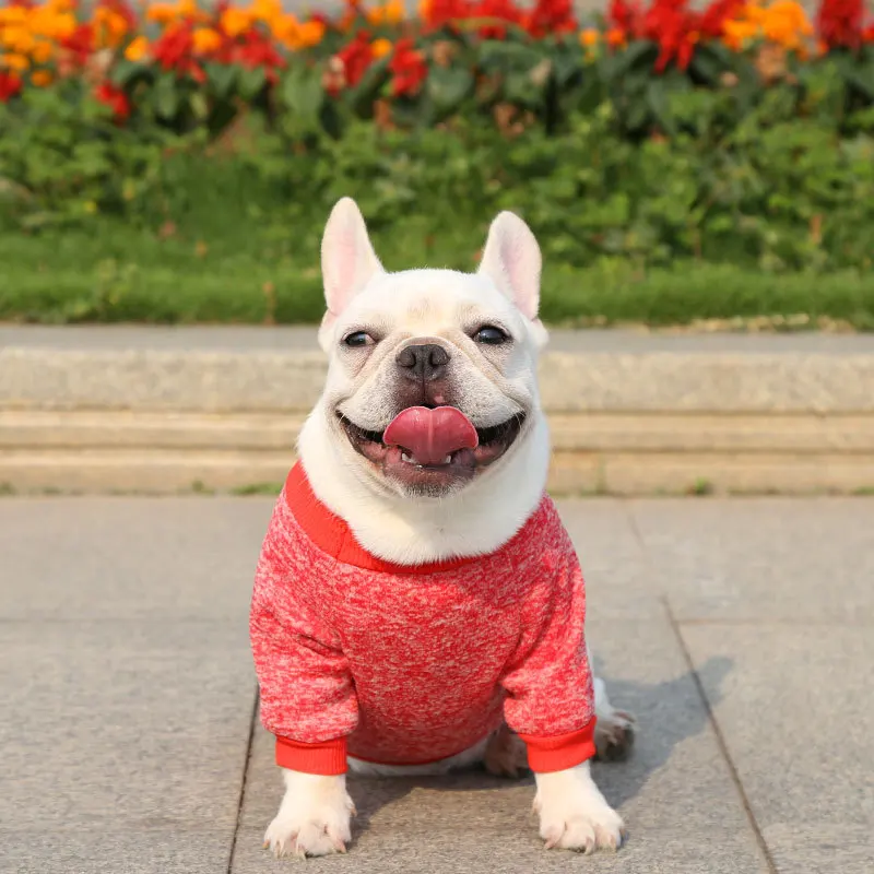 Autume Dog Clothes Luxury Dog Hoodies Cute Puppy Sweaters Soft Cat Hoodies Solid Pet Dog Sweatshirt Bulldog Clothes Pet Pullover