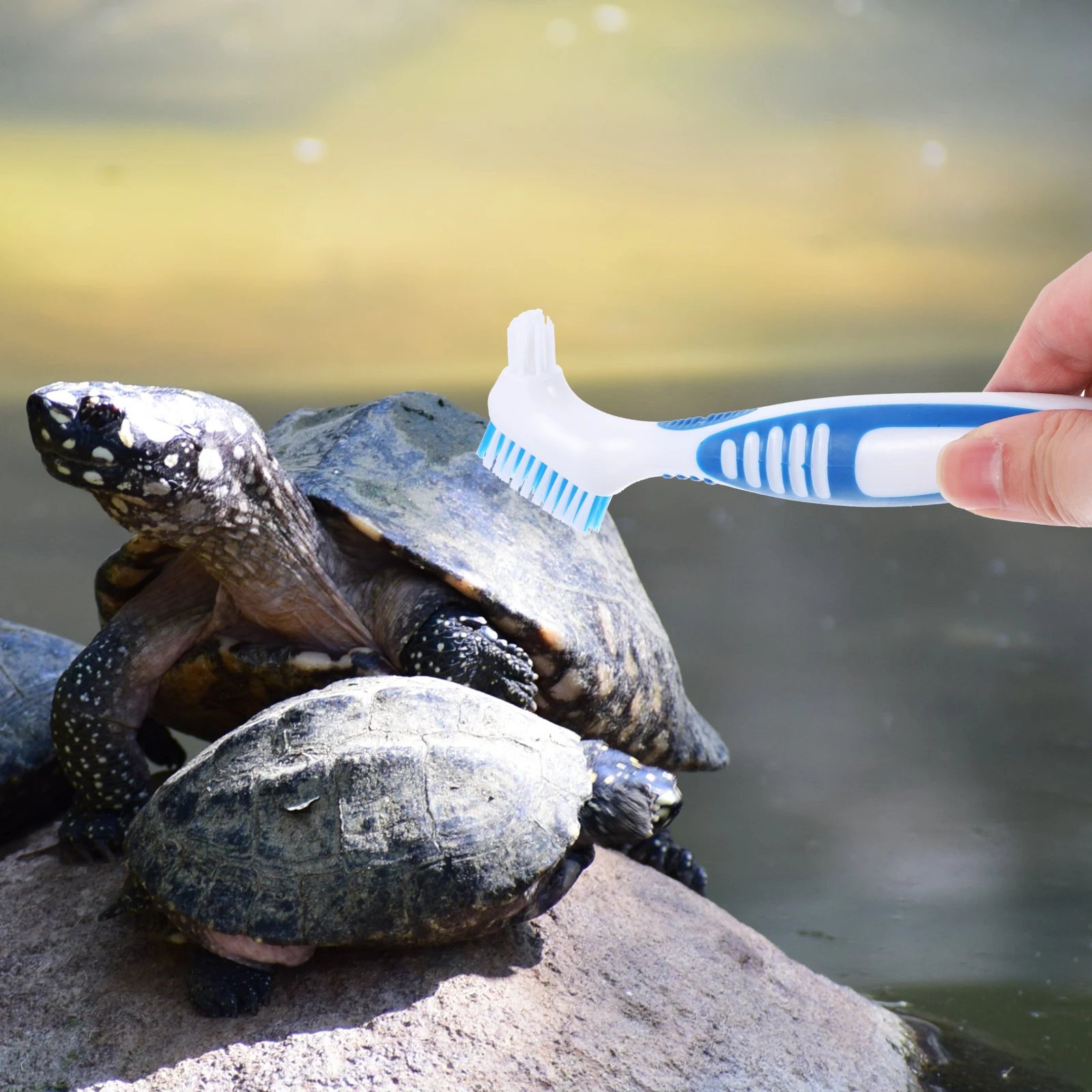 

Turtle Shell Cleaning Tool Double-Side Design Premium Material Flexible Bristles for Effective Cleaning Multi-Functional Small