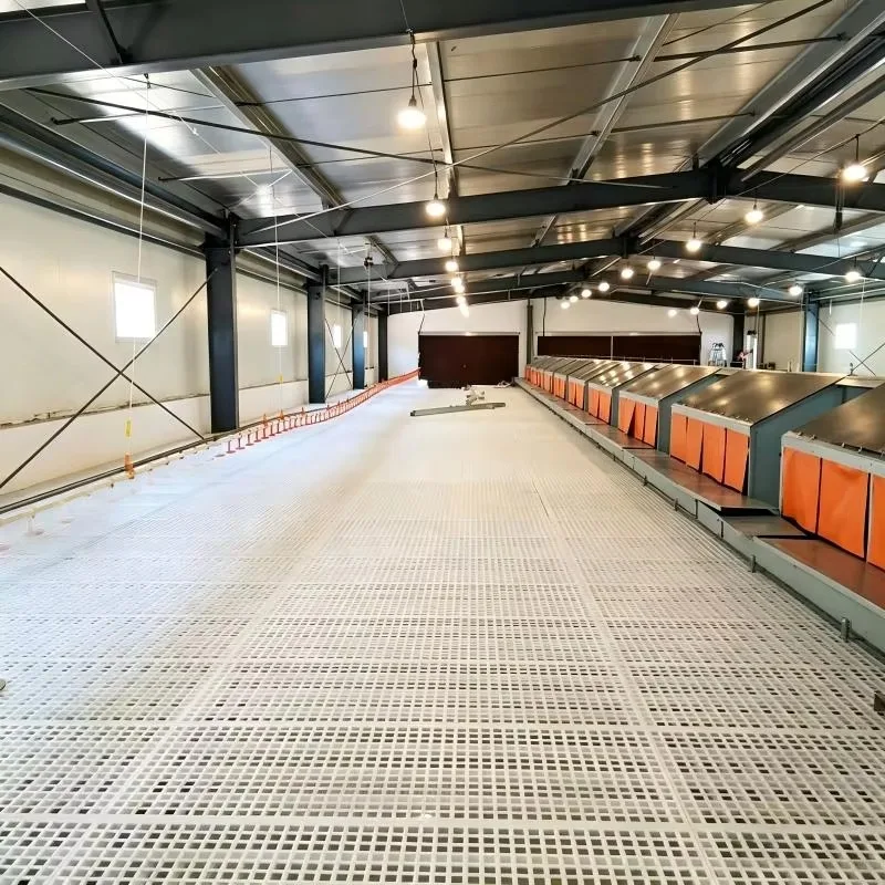 Automatic Hen Laying Nest Box Galvanized Steel Free Range Chicken Egg Laying Box Automatic Egg Collection