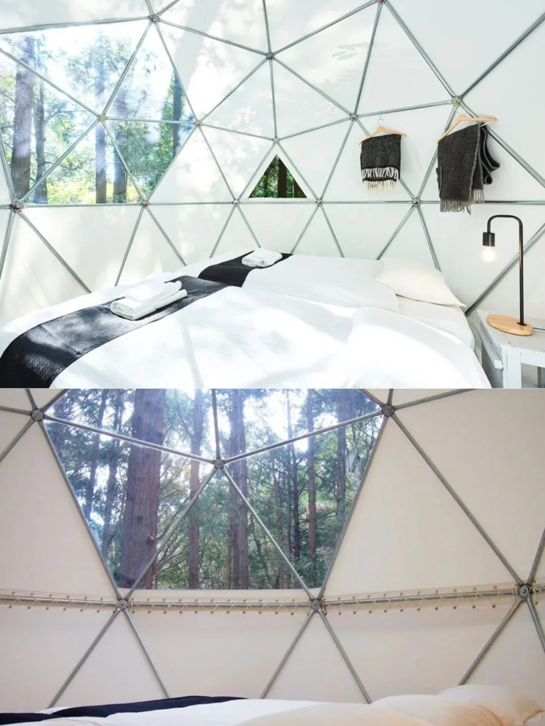 도매 나무 걸이형 돔 하우스 텐트 별이 빛나는 하늘 티피 숲 걸이형 방수 캠핑 구형 텐트 방수 돔 텐트