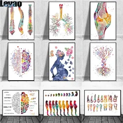 diy full diamond painting Human Anatomy Muscles System Wall Art embroidery Body Map Wall Picture Medical Education Clinic Decor