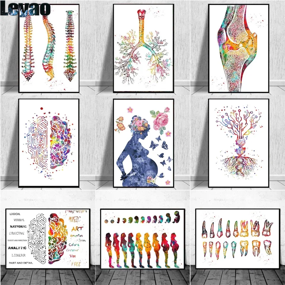 diy full diamond painting Human Anatomy Muscles System Wall Art  embroidery Body Map Wall Picture Medical Education Clinic Decor