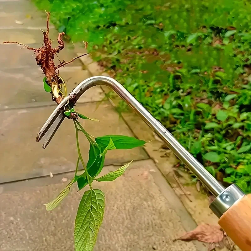 Stainless Steel Gap Weeding To - Gardening Tools Used For Weeding review and price