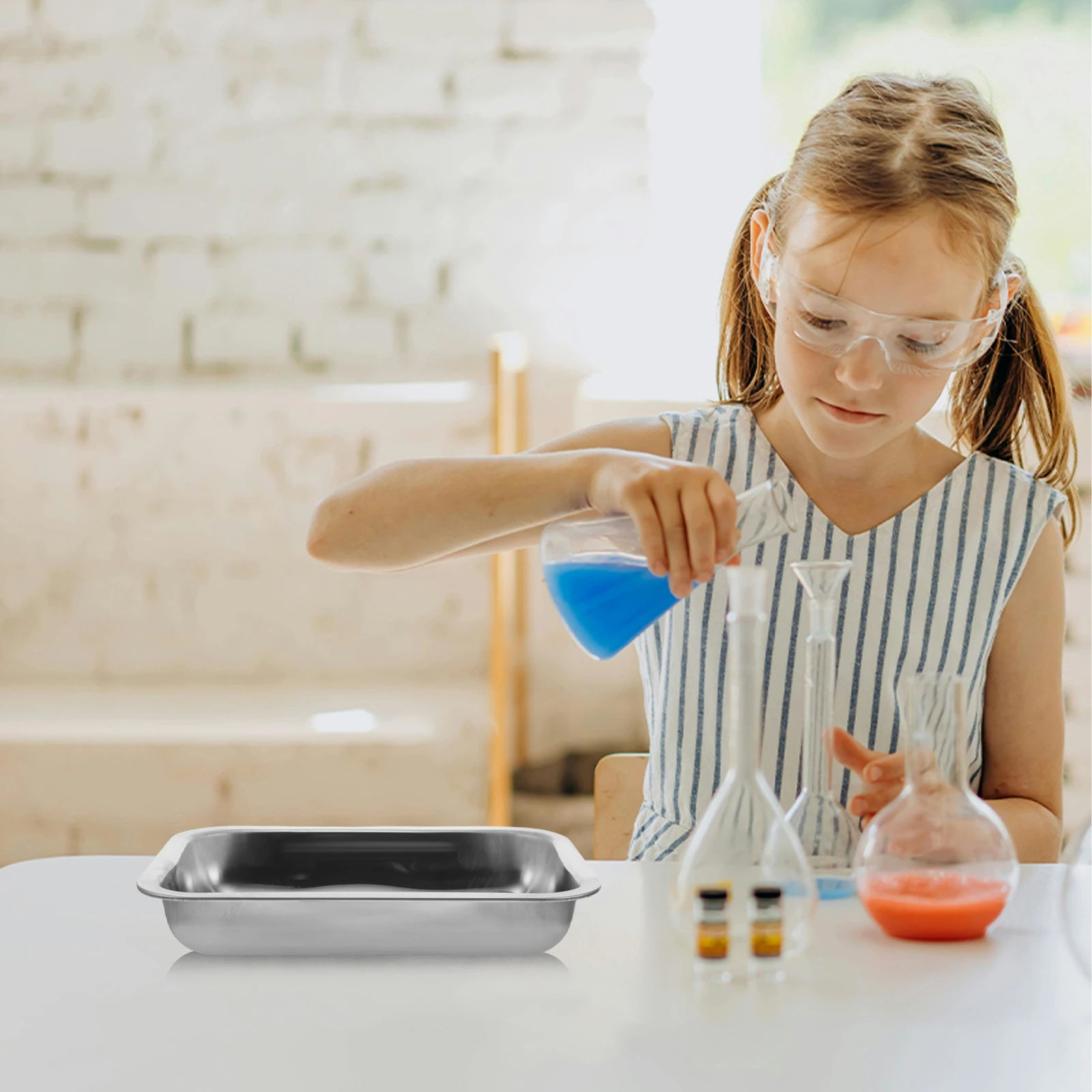 

Stainless Steel Dissecting Tray 26X19X4Cm Lab Dissection Plate For Biology Science Experiments Classroom Anatomy Practice