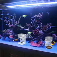 Fish Feeder For Aquarium 2026 New Fish Tank Dish Tray With Suction Cup Acrylic Fish Feeding Tube Fish Food Holder