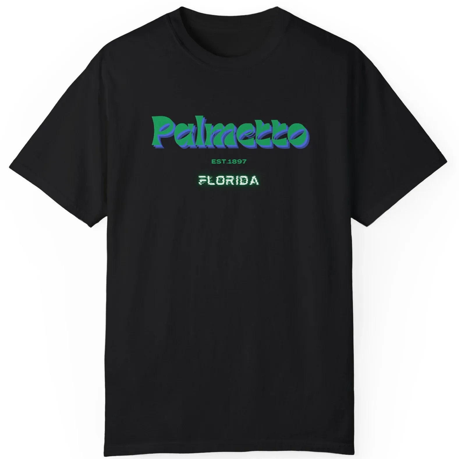 Celebrate Palmetto Florida EST.1833 Best Gift Unisex T-Shirt S-5XL