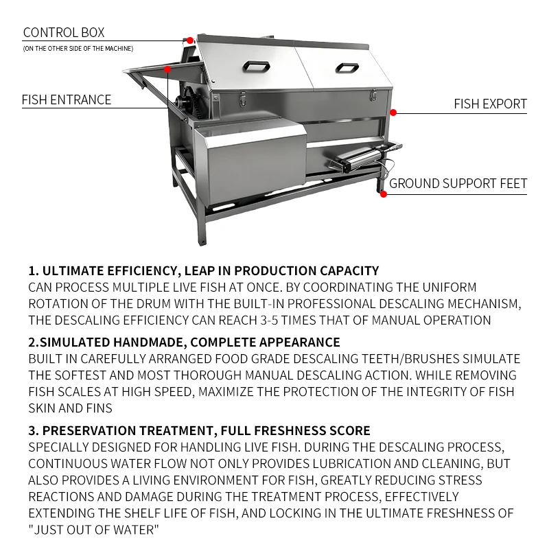 Factory Price Fully Automatic Electronic Fish Scale Remover Scraper Drum Fish Scale Removal Machine Fish Processing Machine