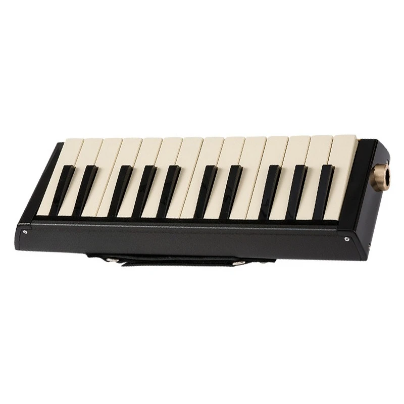 Professional adult ensemble plays bass harmonica with speaker connection