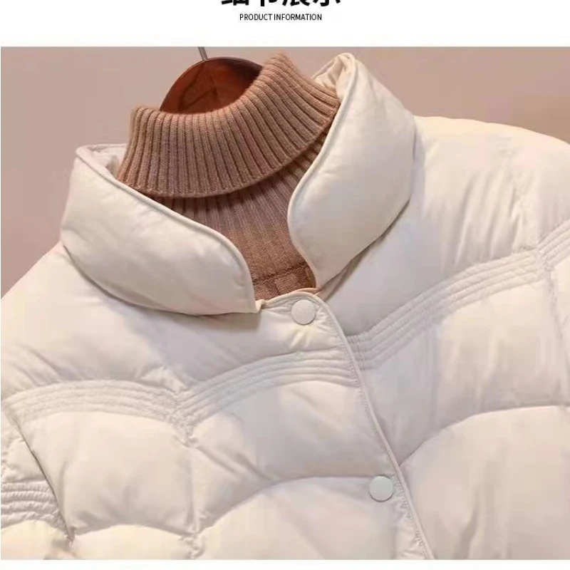 Autumn Winter Women Lightweight Down Cotton Jacket 2024 Thin Solid Stand Collar Short Jacket Female Cotton Padded Coat Overcoat