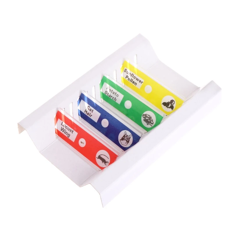 12x Prepared Microscope Slides Set For Student Basic Biology Education Drop Shipping