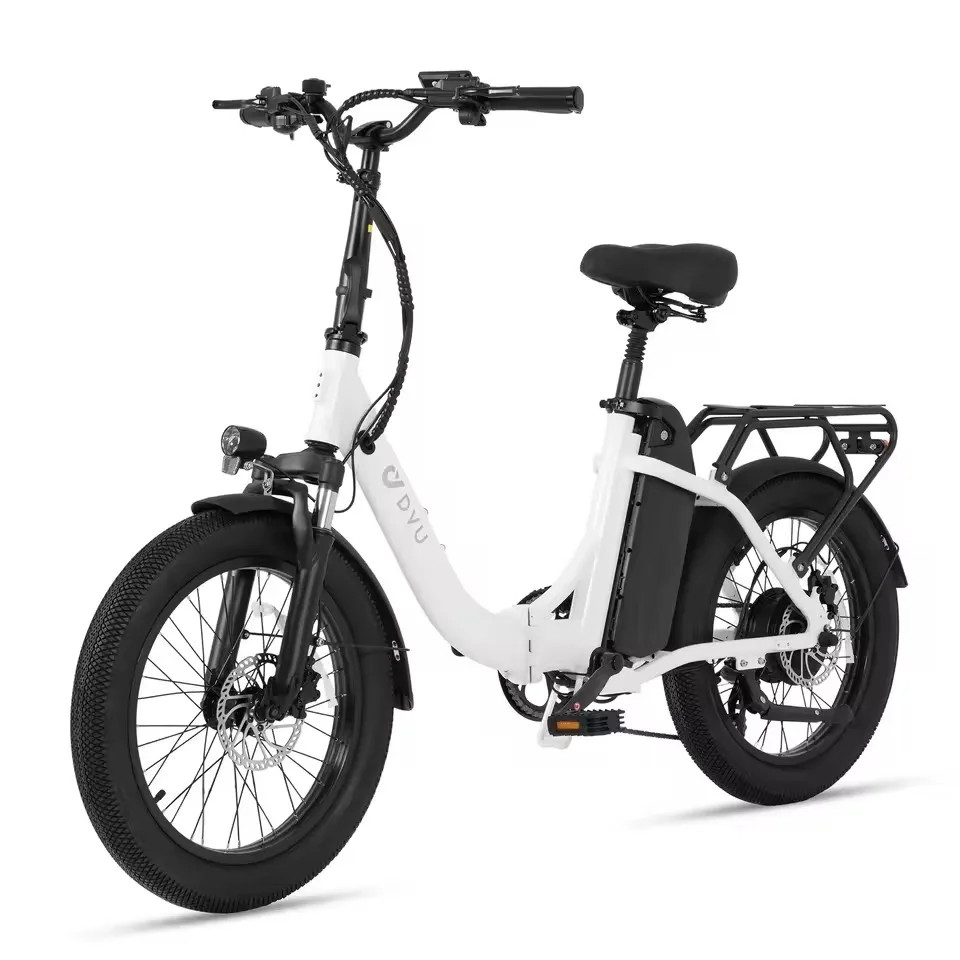 

C9 Adult Electric Bike, 250W Motor 48V15.6AH Battery Foldable E-Bike,20 Inch Tires City Commuter Electric bicycle