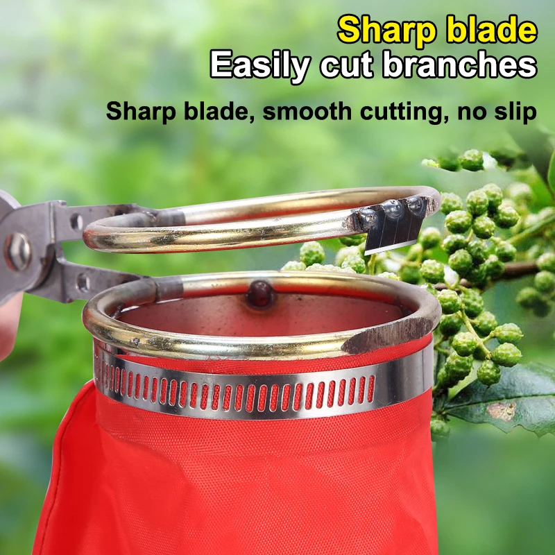 مقص بيري منتقي وفلفل قابل لإعادة الاستخدام - أداة حصاد متعددة الفاكهة لحصاد الحدائق والمزرعة