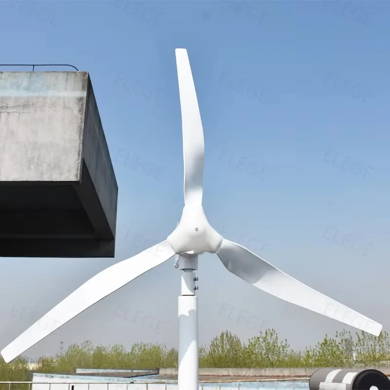 Custom Residential 1kw to 10kw Horizontal Axis Wind Mill Turbine 12v 24v 48v Eolic Generator Power System for Home Roof