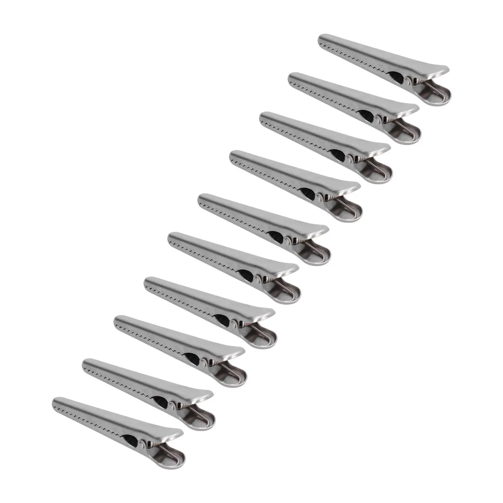 10PCS Stainless Steel Clothes Pegs Clips - Bag Sealing, Bedspread Hanger & Laundry Cloth Pins