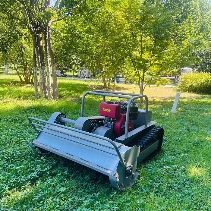 CE Approved Mini Remote Rc Control Lawn Mower GPS-RTK High Performance Home Gardening Equipment Small Gardens