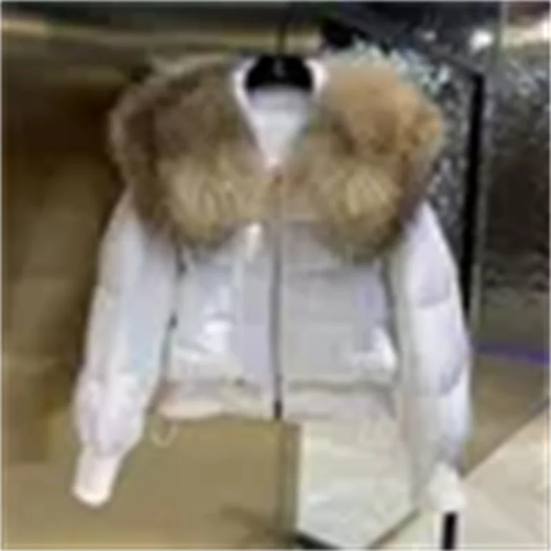 Short Down Cotton-padded Jacket Big Fur Collar Loose High-grade Young Middle-Aged Lady Korean Warm Cotton-padded Jacket Woman