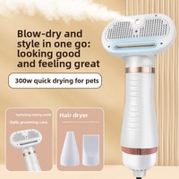2-in-1 Pet Hair Dryer Brush, Fast-Drying Blower & Grooming Comb with Water Ion Technology, for Home Use (Winter Care)