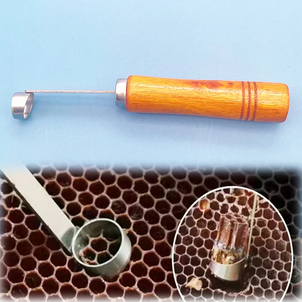 Non-graft Queen Rearing Comb Foundation Cutter for Queen Bee Rearing Beekeeping Equipment Bee Extractor Tool Cutting Beehive