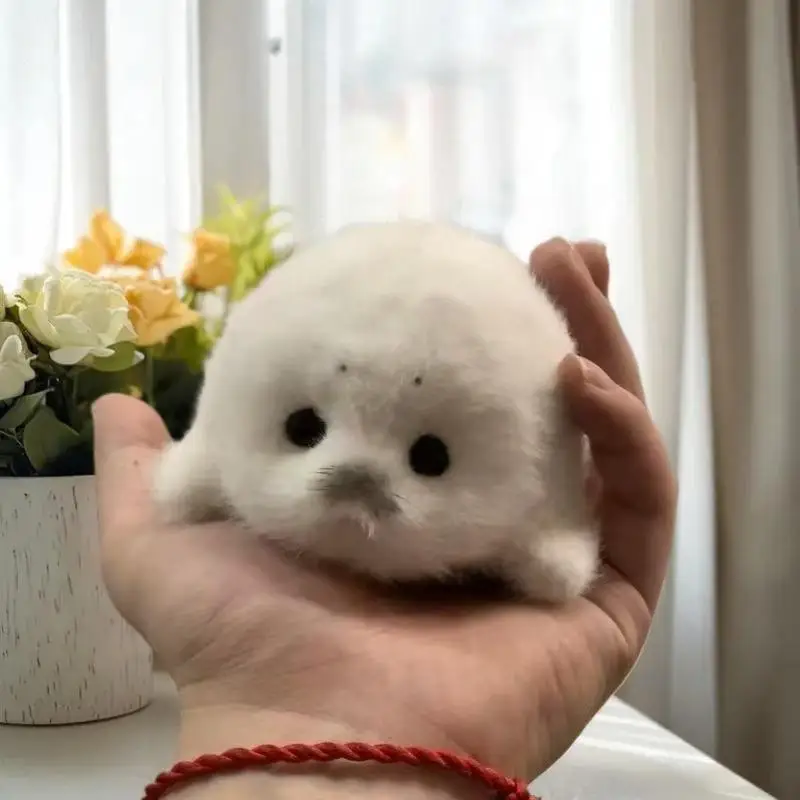 

Cute Sea Baby Seal Plush Toy Pendant; Imitation Marine Life Souvenir Doll, Gift, Bag Charm
