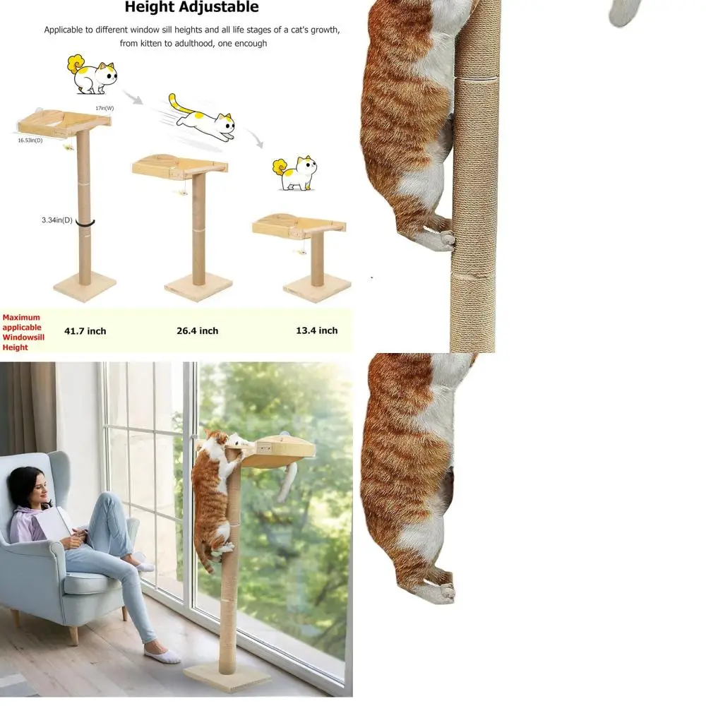 

Indoor 46 Cat Tree with Hammock, Scratching Posts, and Suction Cup Mount for Rest and Play