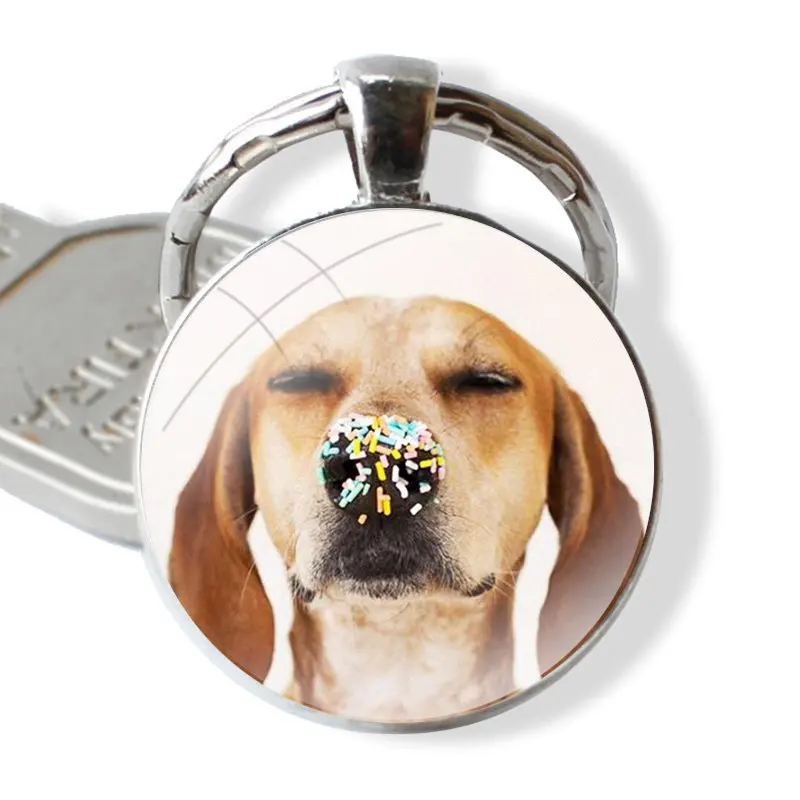 25mm Glass Cabohcon Keychain Key Rings for Women Men Jewelry Gift sweet beagles puppies Loyal Dog