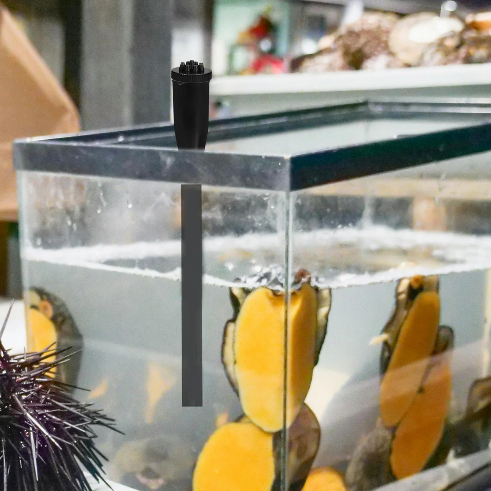 

Submersible Aquarium Pump High Efficiency Oxygenation Powerful Water Flow for Garden Pond Fountain Nozzles Outdoor Water Feature