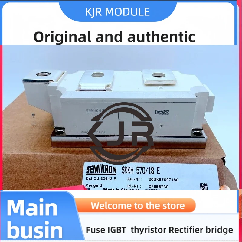 

SKKH570/08E SKKH570/12E SKKH570/14E SKKH570/16E SKKH570/18E SKKT570/08E SKKT570/12E SKKT570/14E SKKT570/16E SKKT570/18E