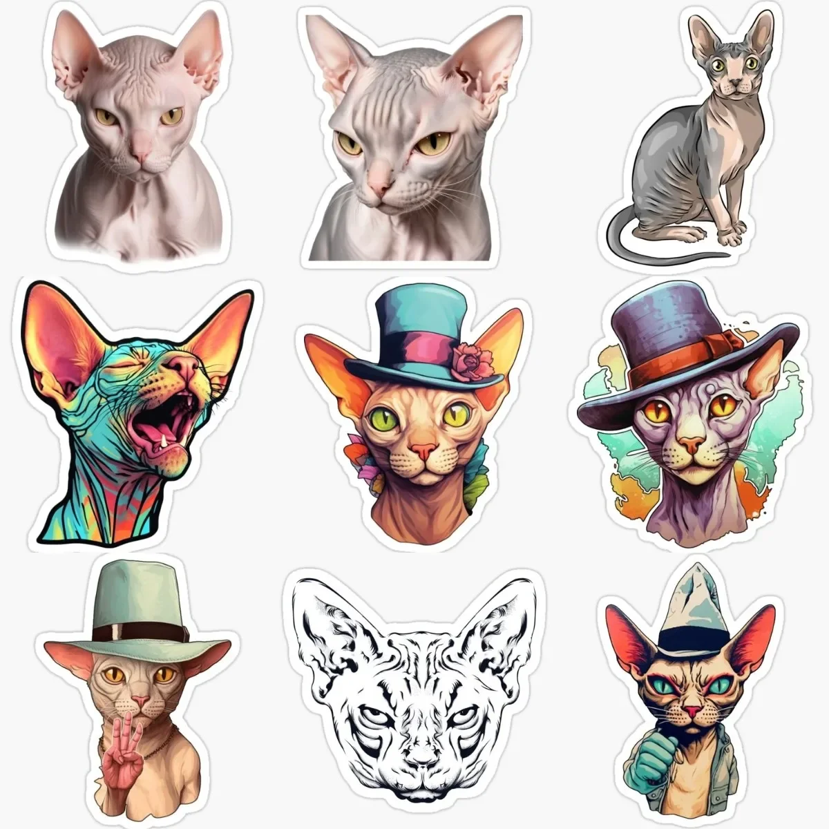 

Creative Canadian Hairless Cat Sphynx Cat Pets Stickers for Decorate Car Van Bicycle Helmet Window Fridge Wall Van Decal