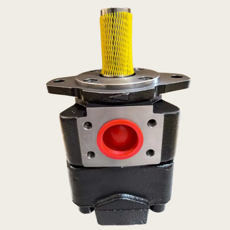 

Hydraulic QX QX22 QX32 QX42 QX52 QX51-125R Gear Pump QX51-125R Oil Pump QX51-125R