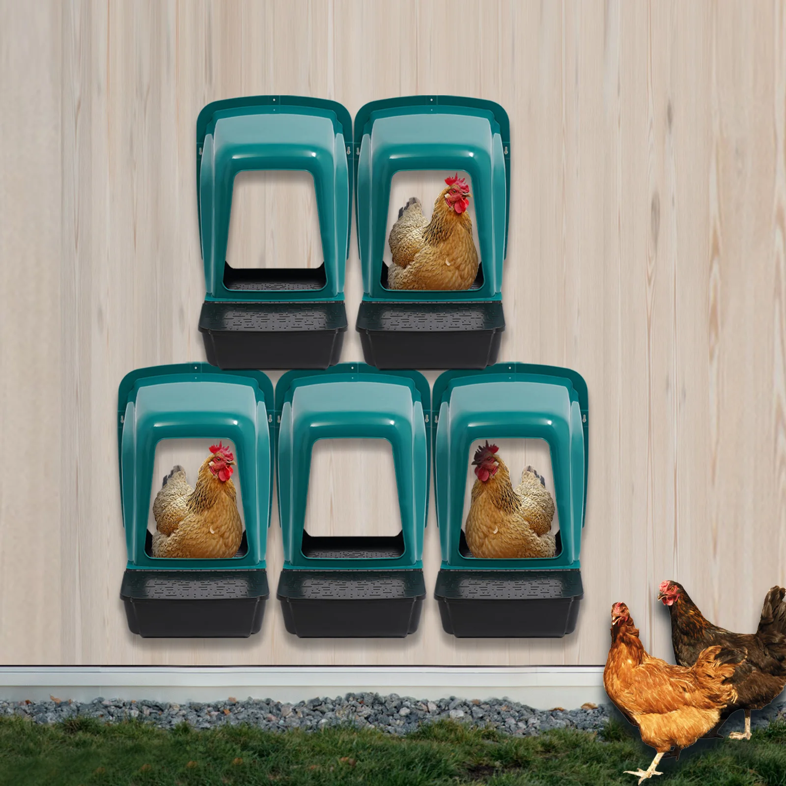 

Sturdy Wall Mounted Poultry Nesting Boxes With Pre-Drilled Holes For Easy Installation In Backyard Coops