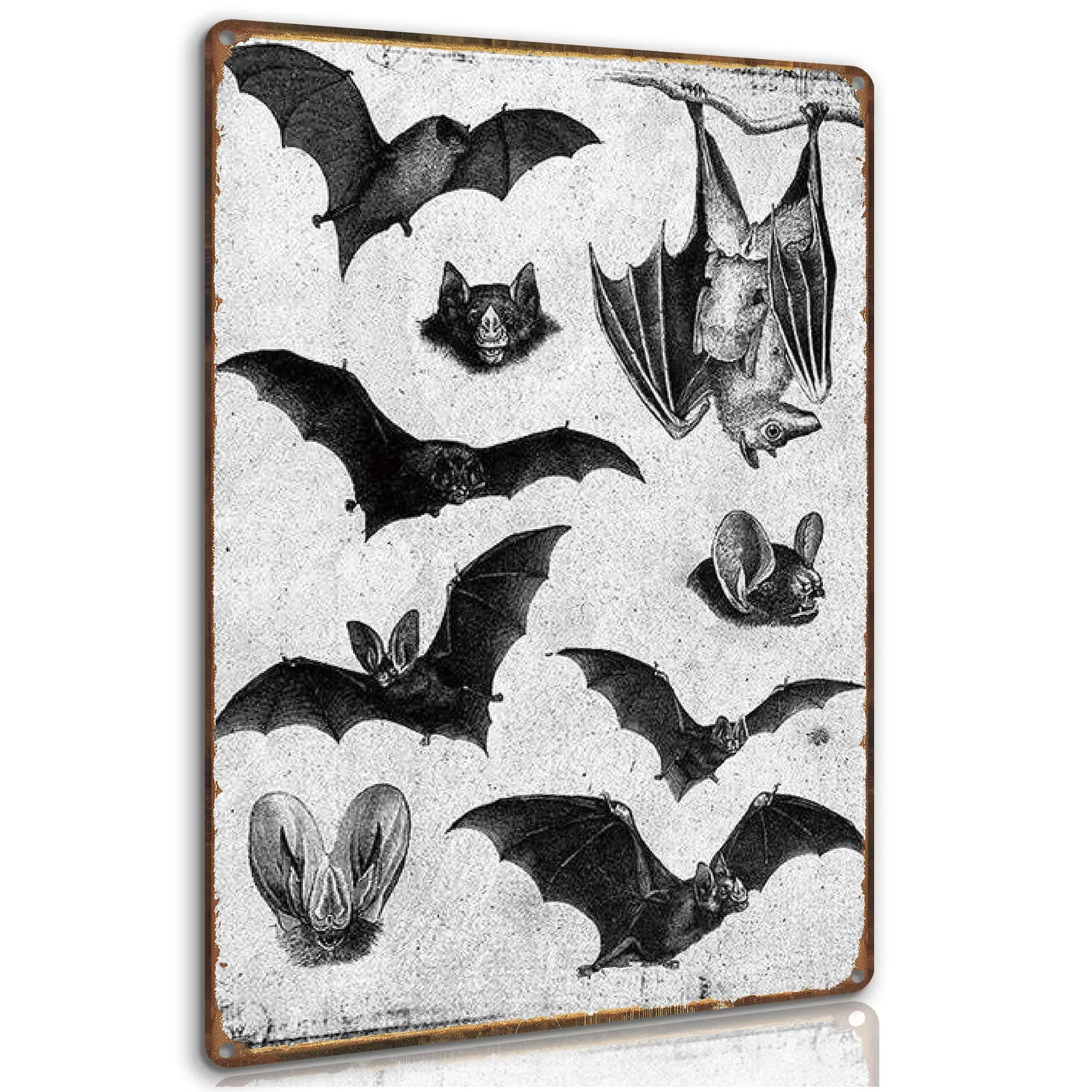 Bats Gothic Decor Witchy Decor Aesthetic Wall Decor Guest Wall Decor Art Tin Sign 8 * 12 Inch