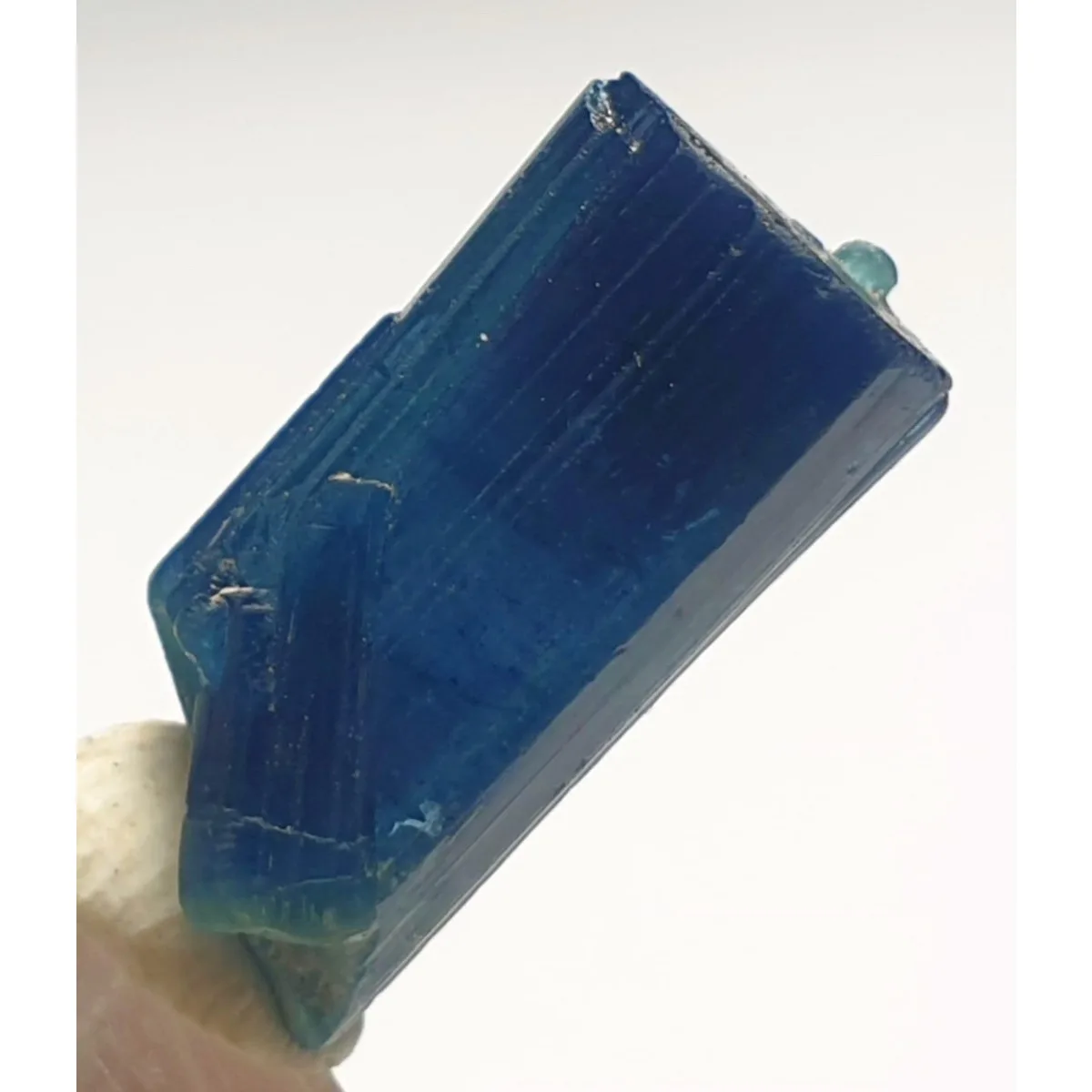 Brazilian Elbaite Crystal Points, 10g 5-15mm Random Colors, Display Box for Collector Gift Box & Rock Collection