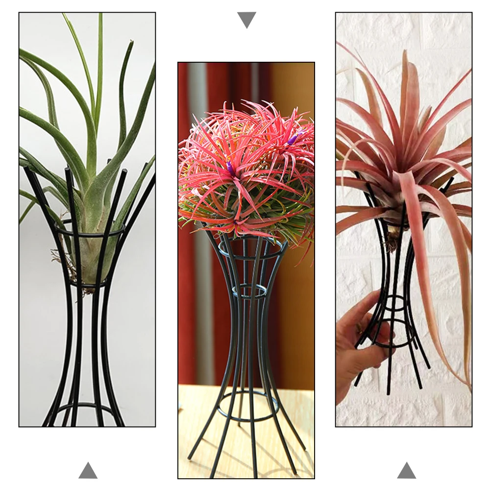 

Soilless Bracket Holder Containers Stand Metal Indoor Supplies Household Display Holder Plant Stand Air Plant