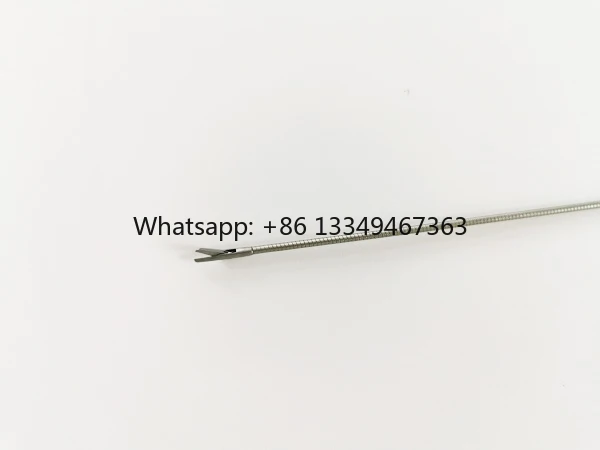 pinza-educazione-spedizione-veloce