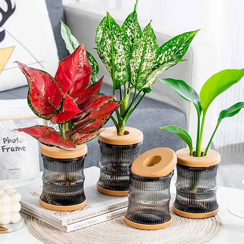 Hydroponic Flower Pot Home Vase Decor Transparent Imitation Glass Soilless Plant Pots Green Plants Pot For Home Decoration