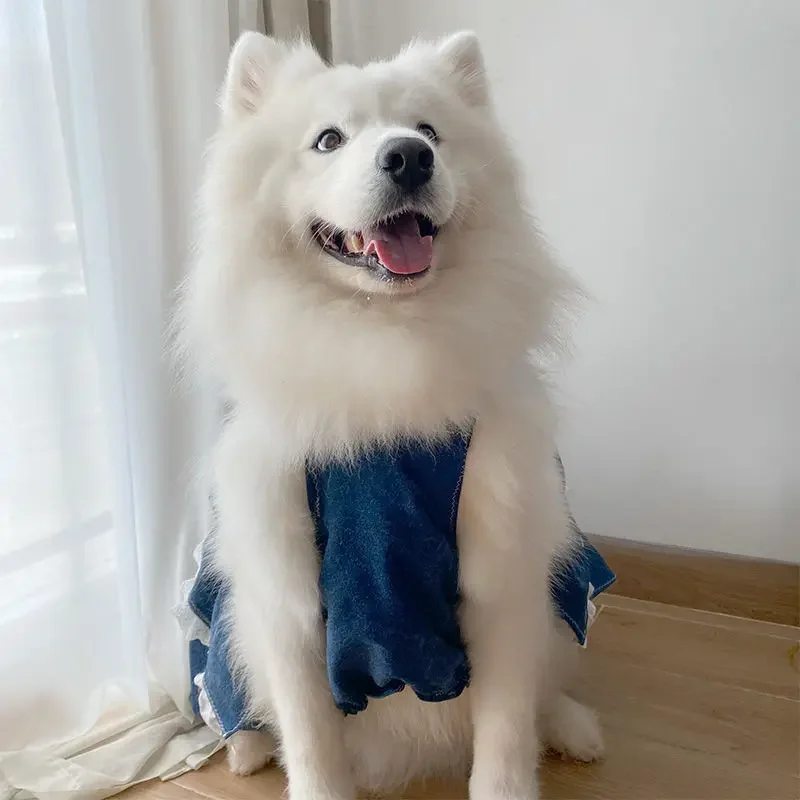 Large Pet Dress Summer Big Dog Clothes Corgi Samoyed Husky Border Collie Labrador Golden Retriever Clothing Costume Apparel 5XL