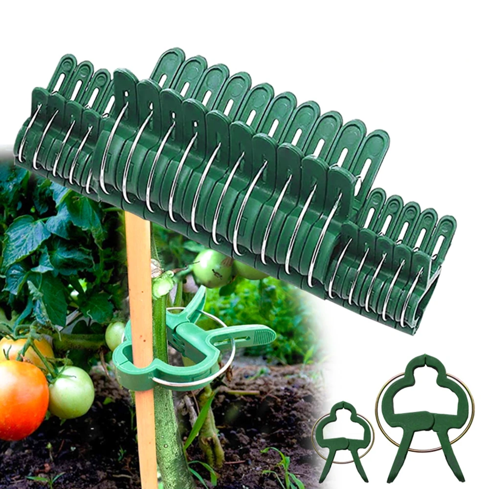 Plastic Tied Branch Clamping Planting Stem Fastener Vine Support Plant Fixed Clamp Garden Tool Support Clips Farm Supplies