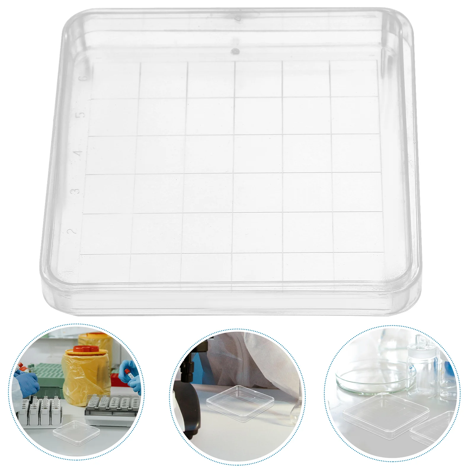 

10 Pcs Petri Dish Dishes with Agar Science Experiment Plates Lab Plastic Laboratory Cover Grid