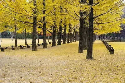 

Front and Rear Differential Locker Spool for 1/16 TRXS Mini E-Revo Summit Slash RC Car Upgrade Parts Accessories