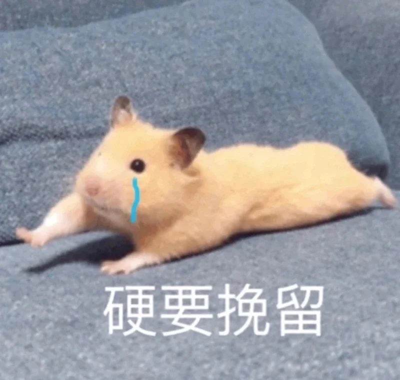 

Pearl rose god jesus christ prayer gesture creative&funny stickers for cartoon fans&lover,high quality for car trucks motorcycl