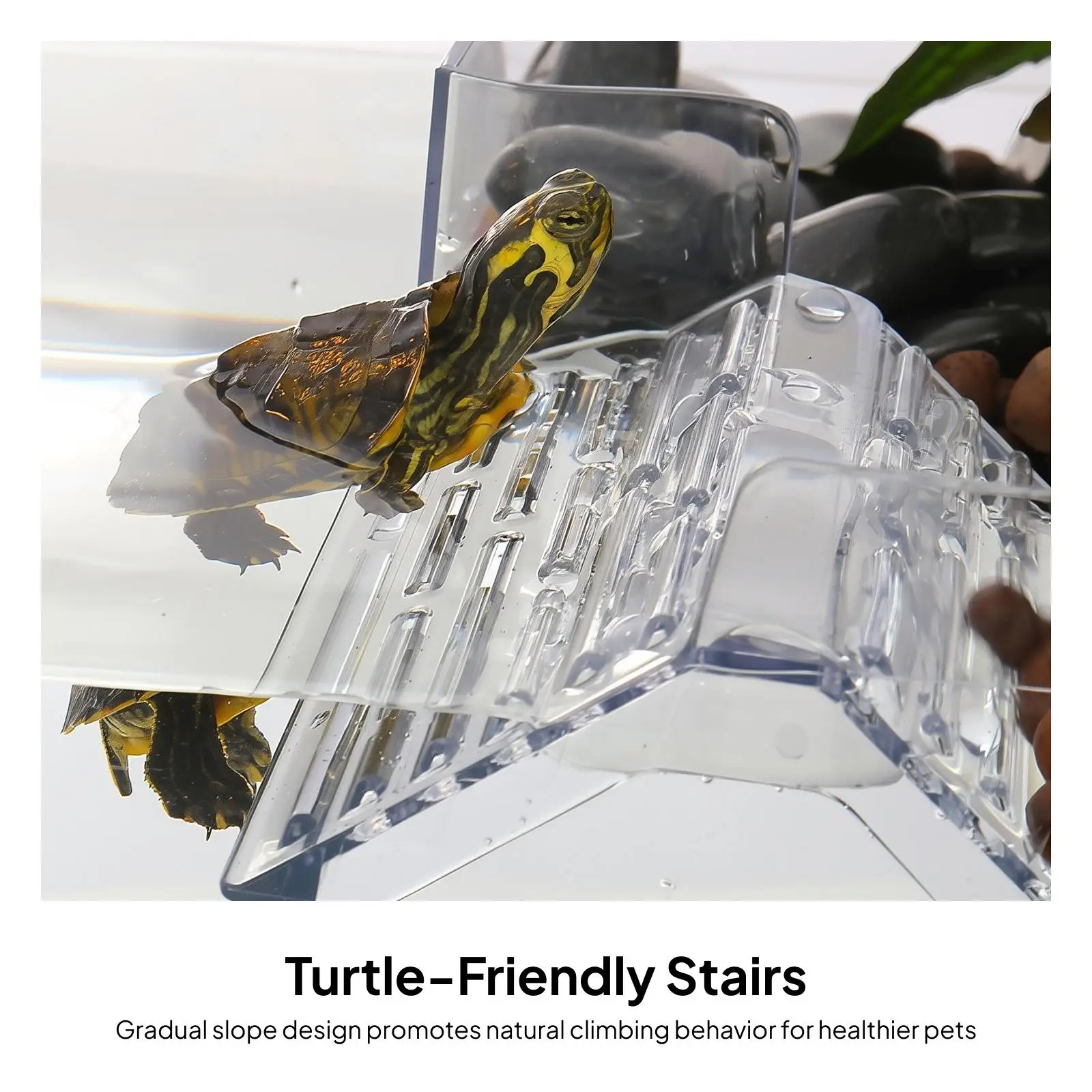 AquariumTurtlePlatformHangingRestingRampLadderShelfforWaterTurtleTankReptileAccessories-AliExpress