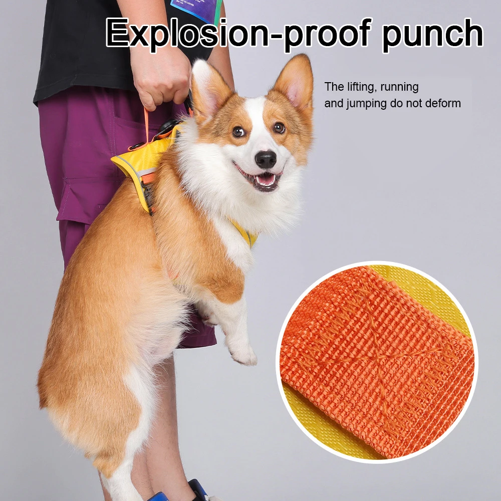 Thumbnail 4 - #93 Latest Dog Seat Belt Harness Offers