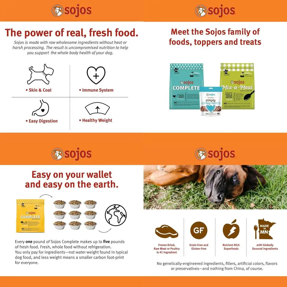 Comida para perros deshidratada con receta completa de carne de res, 7 lb, amarilla