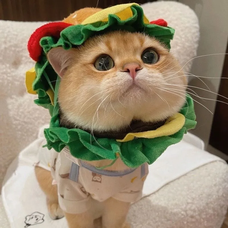 Mascot Cartoon animal Pet Cat Burger Head Cover Costume cat Costume for pet HALLOWEEN Dog hat