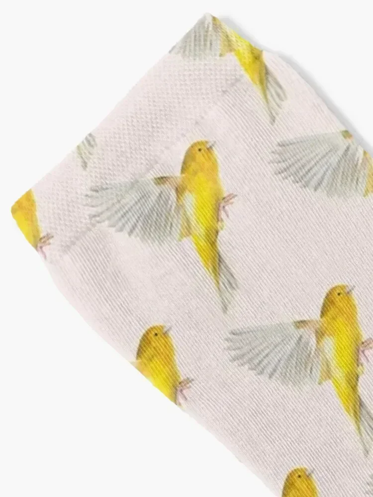 Canary in Flight Socks Running cartoon Man Socks Women's