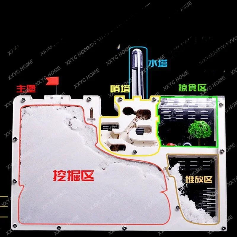 

Workshop Ant Pet Ecological Box Nest Kingdom Large