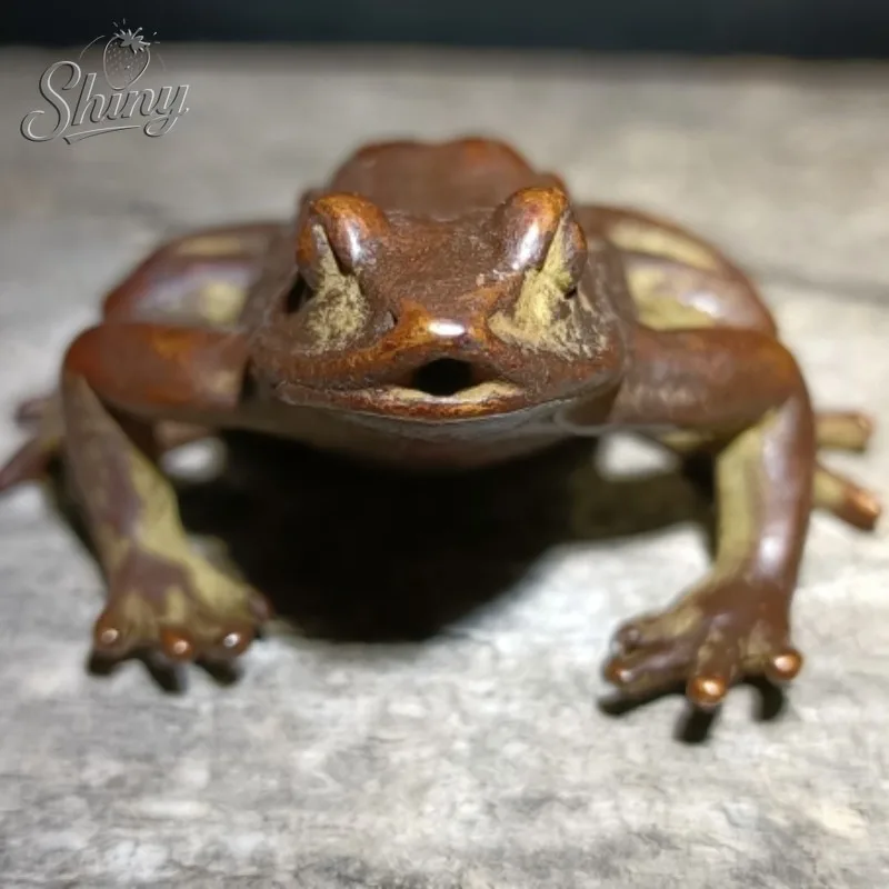 Solid Copper Frog Ornaments Antique Collection Bring You Wealth Living Room Fish Tank Decoration Tea Pet Handicraft Gift