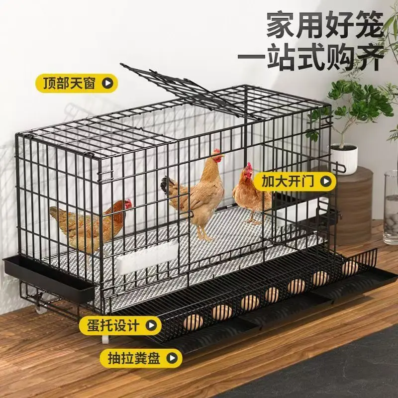 Production automatique d'œufs, pliante, cage à poulets